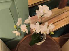 -南堂馆·新川菜(春熙路店)