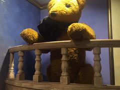 -济州岛泰迪熊博物馆