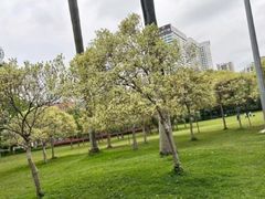 -东风公园