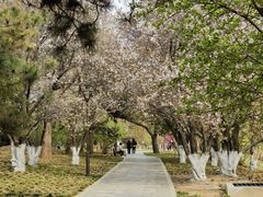 -元大都城垣遗址公园