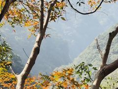 -宁波五龙潭景区