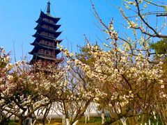 -上海方塔园