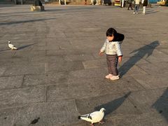 -阳澄湖费尔蒙酒店