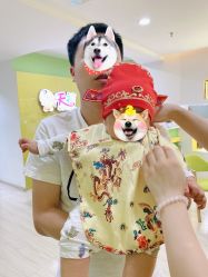 -天禧专业理胎发纪念品乐园·婴儿宝宝理发剃胎毛胎头胎毛笔定制店