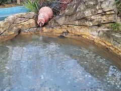 -金孔雀温泉旅游度假村