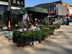 -中环花鸟鱼虫市场