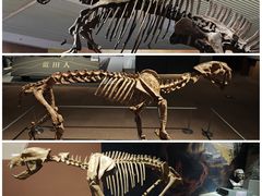 -中国国家博物馆