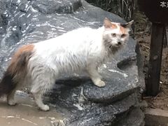 -龙达温泉生态城