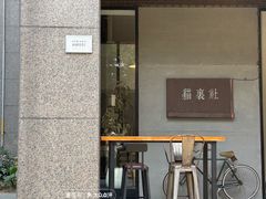 -猫里有甜