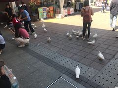 -王府井奥莱临潼小镇(临潼店)