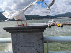 -海埂大坝
