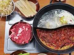 -阳阳老火锅(小南门店)