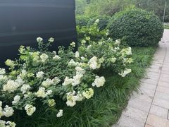 -仁和公园(顺义区)