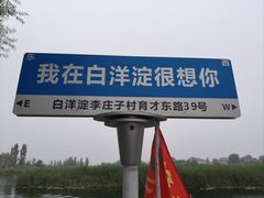 -白洋淀景区