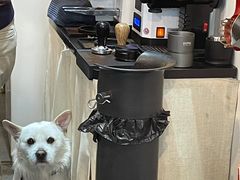 -悟白咖啡WoobyCafe