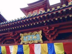 -新加坡佛牙寺龙华院