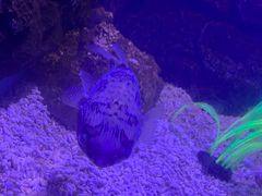 -常州海昌海洋探索馆