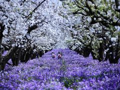 -江苏三台山国家森林公园