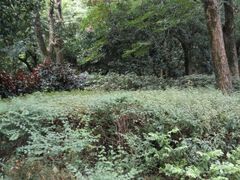 -桂林灵渠景区