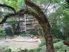 -香港大学