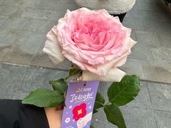 -皇冠幸福里动物奶油生日蛋糕(万达店)