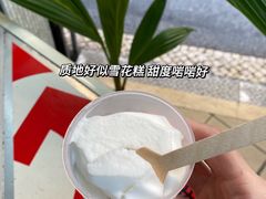 -洪馨椰子