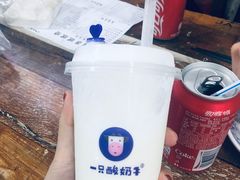 -一只酸奶牛(八一路店)