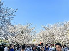 -三好坞景观餐厅