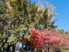 -华东政法大学(松江校区)