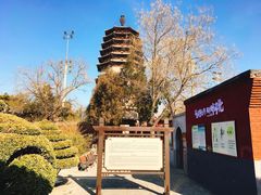 -天宁寺