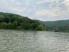 -镇江市南山风景名胜区竹林景区