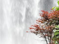 -刘伯温故里景区百丈漈