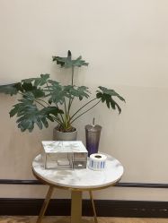 -YESIDO椰岛造型