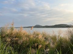 -鹤之洲湿地公园