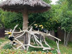 -上海野生动物园
