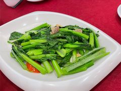 生炒迟菜心-姚林轩