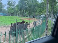 -秦皇岛野生动物园