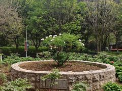 -幕燕滨江·长江观音景区