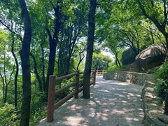 -火炉山森林公园