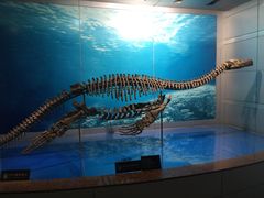 -自贡恐龙博物馆
