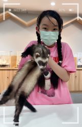 -Moni星球萌宠·小马宝莉·灵蛇·高端高阶全萌宠互动体验俱乐部(红豆国际广场店)