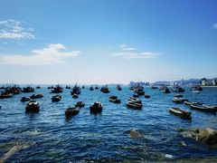 -海源公园