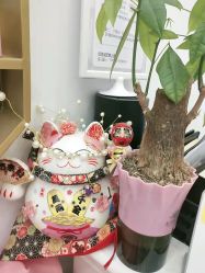 -尚睿优美·美容瘦身中心