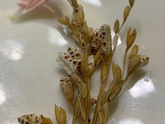 -潮汕味道·煮海餐厅(金麟大厦店)