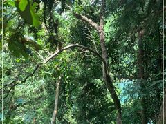 -梧桐山风景名胜区