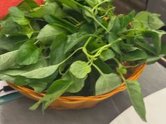 -润泽园椰子鸡(汇一城店)