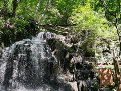 -本溪汤沟绿石谷森林公园