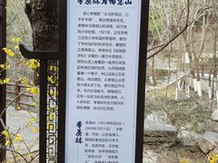 -佛慧山
