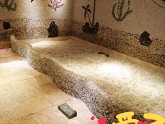 -金紫荆松骨休闲水会