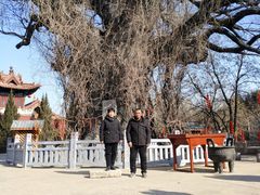 -大槐树寻根祭祖园